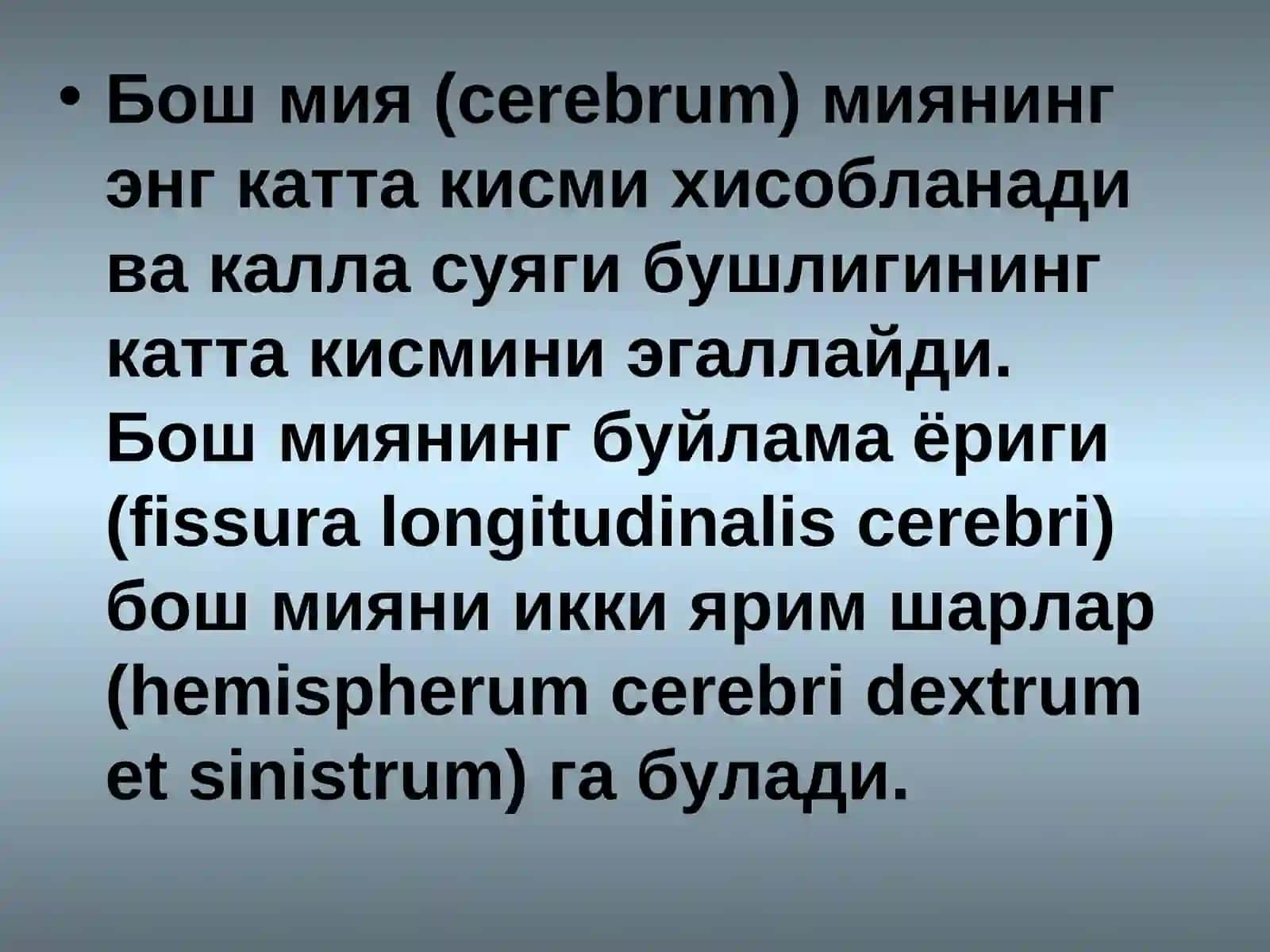 Бош мия пустлоги 2