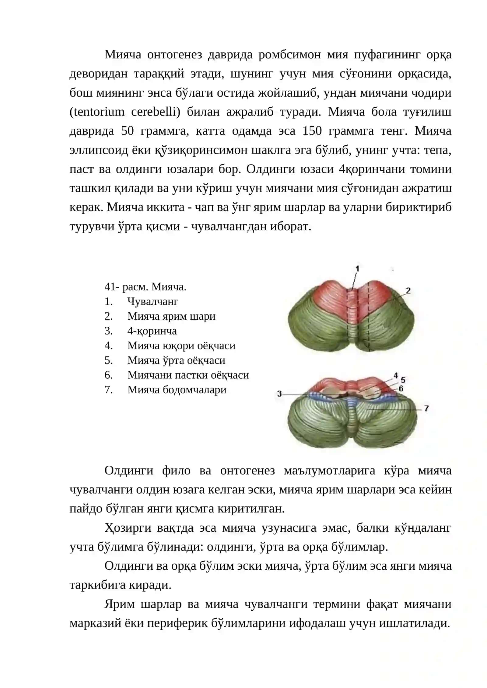 Координатор доира - тузилиши, вазифаси, текшириш усуллари, патологияси ва зарарланиш синдромлари 2
