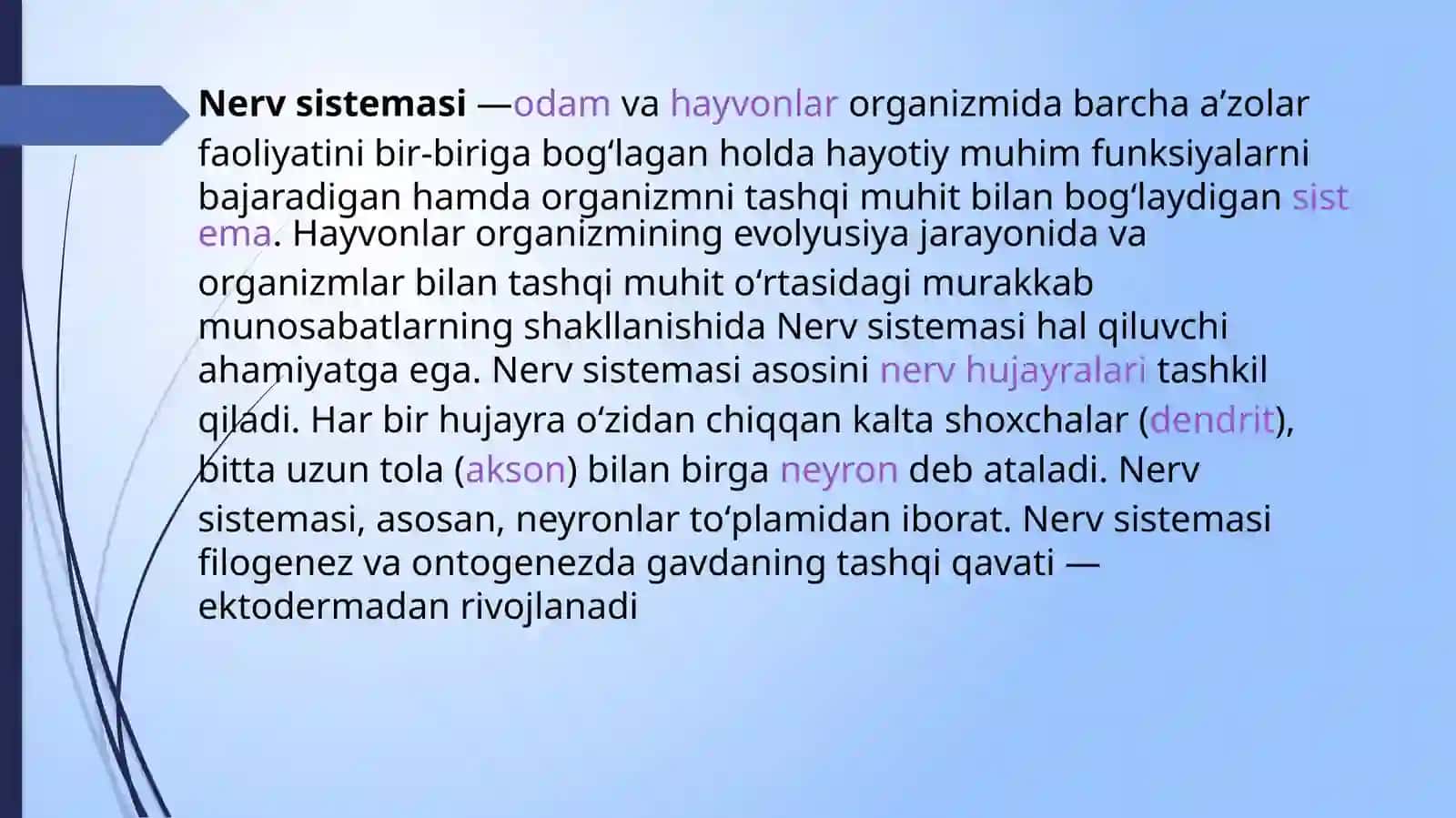 Nervsistemasi 2