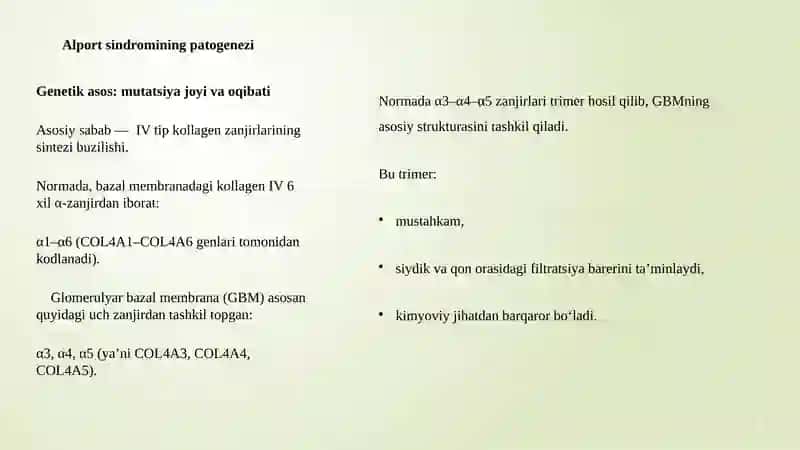 Alport sindromi pptx 2