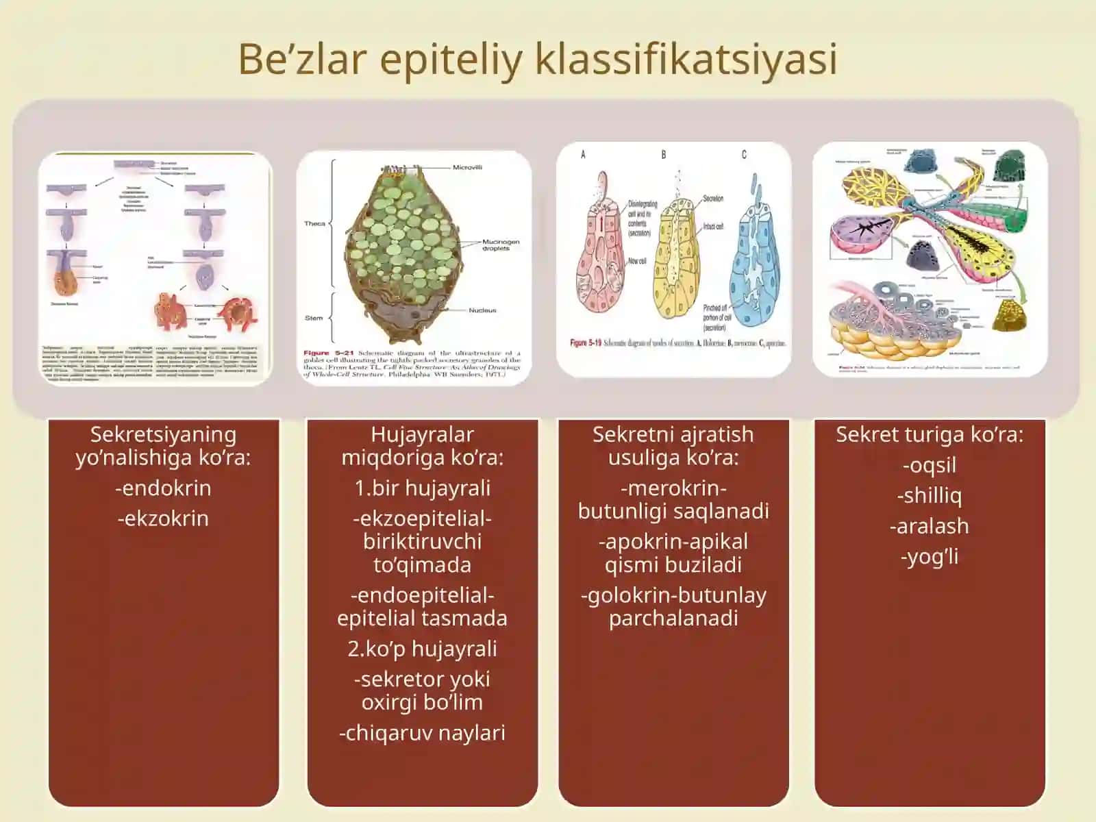 Be’zepiteliysi 2