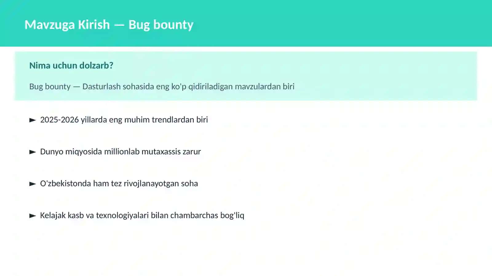 Bug bounty 2