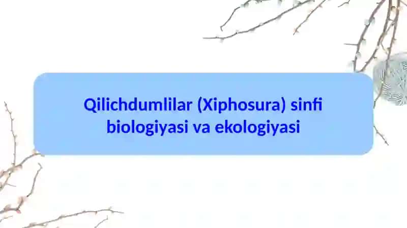 Qilichdumlilar(Xiphosura) sinfibiologiyasi va ekologiyasi 2