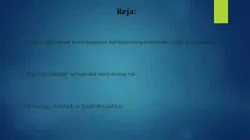 Yangi O'zbekistonda Inson Haq-Huquqlari va Erkinliklari Kafolatining Yaratilishi 2