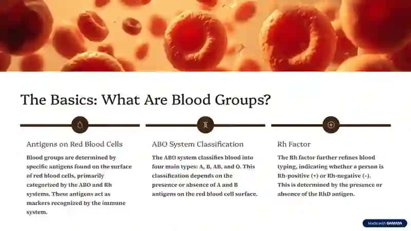 Blood-Groups-and-Compatibility-Rules-What-You-Need-to-Know 2