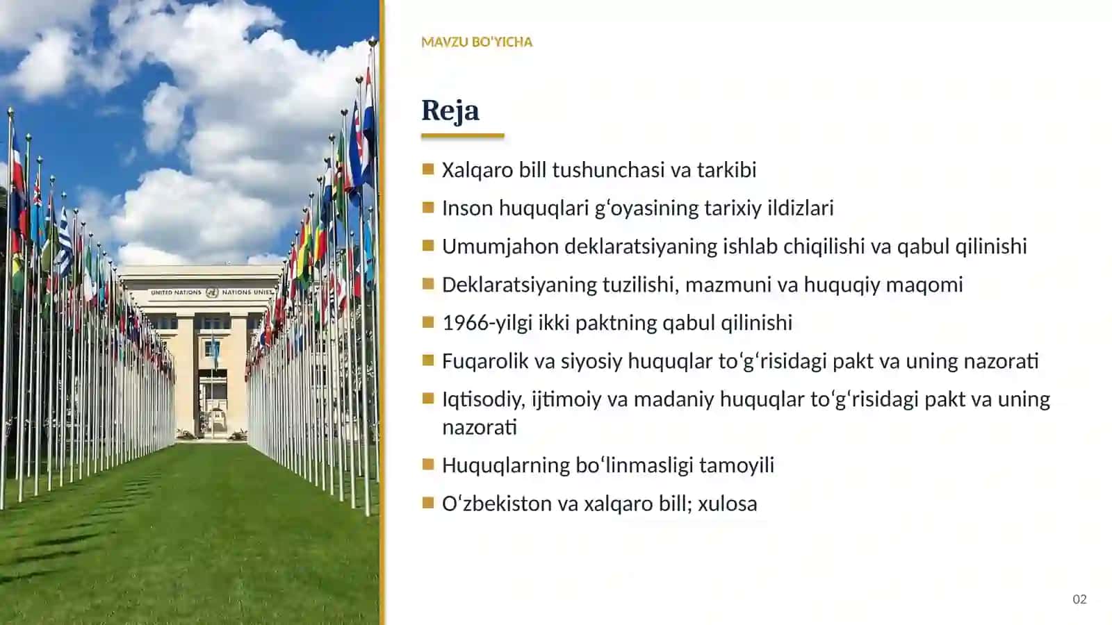 Inson huquqlari umumjahon deklaratsiyasi (1948), 1966-yilgi ikki xalqaro pakt va ularning fakultativ protokollari 2