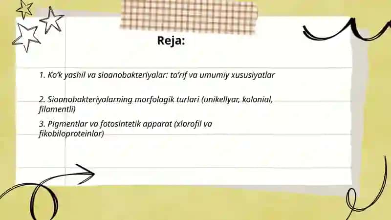 Koʻk yashil, sioanobakteriyalar, suv oʻtlarini umumiy tasnifi 2