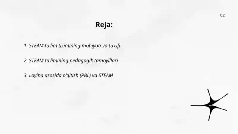 STEAM ta'lim tizimi 2