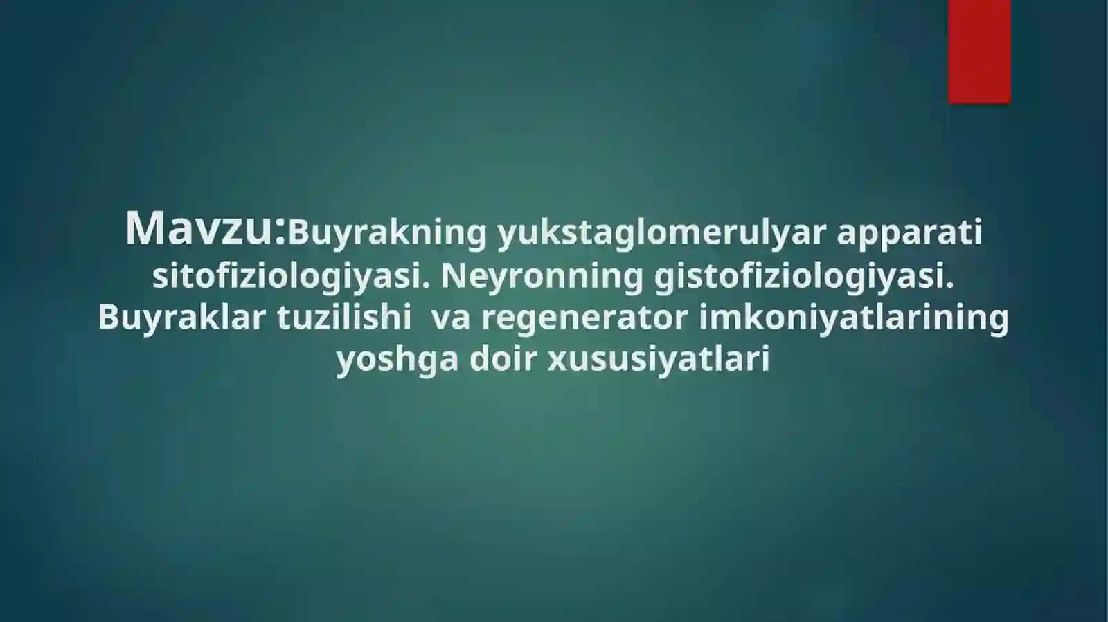 Buyrakning yuksaglomerulyar apparati sitofiziologiyasi 2
