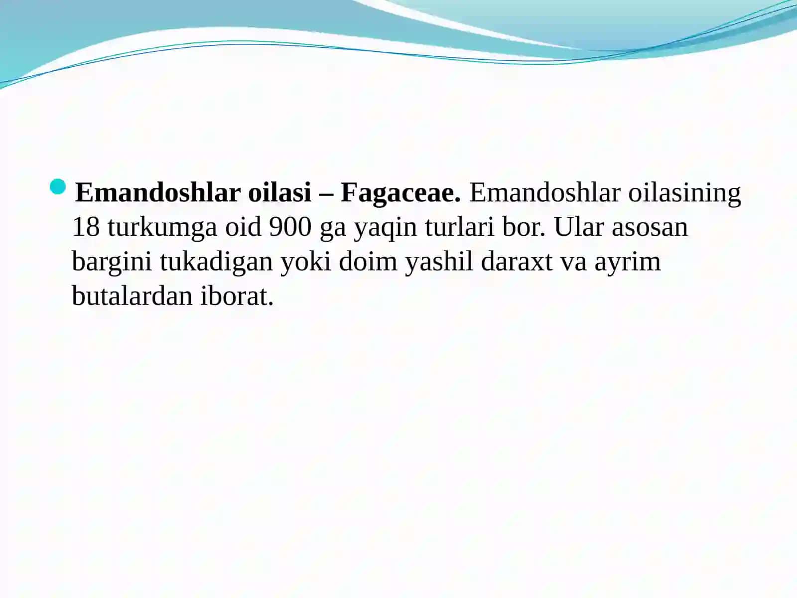 Emandoshlar oilasi dorivor oʻsimliklari 2