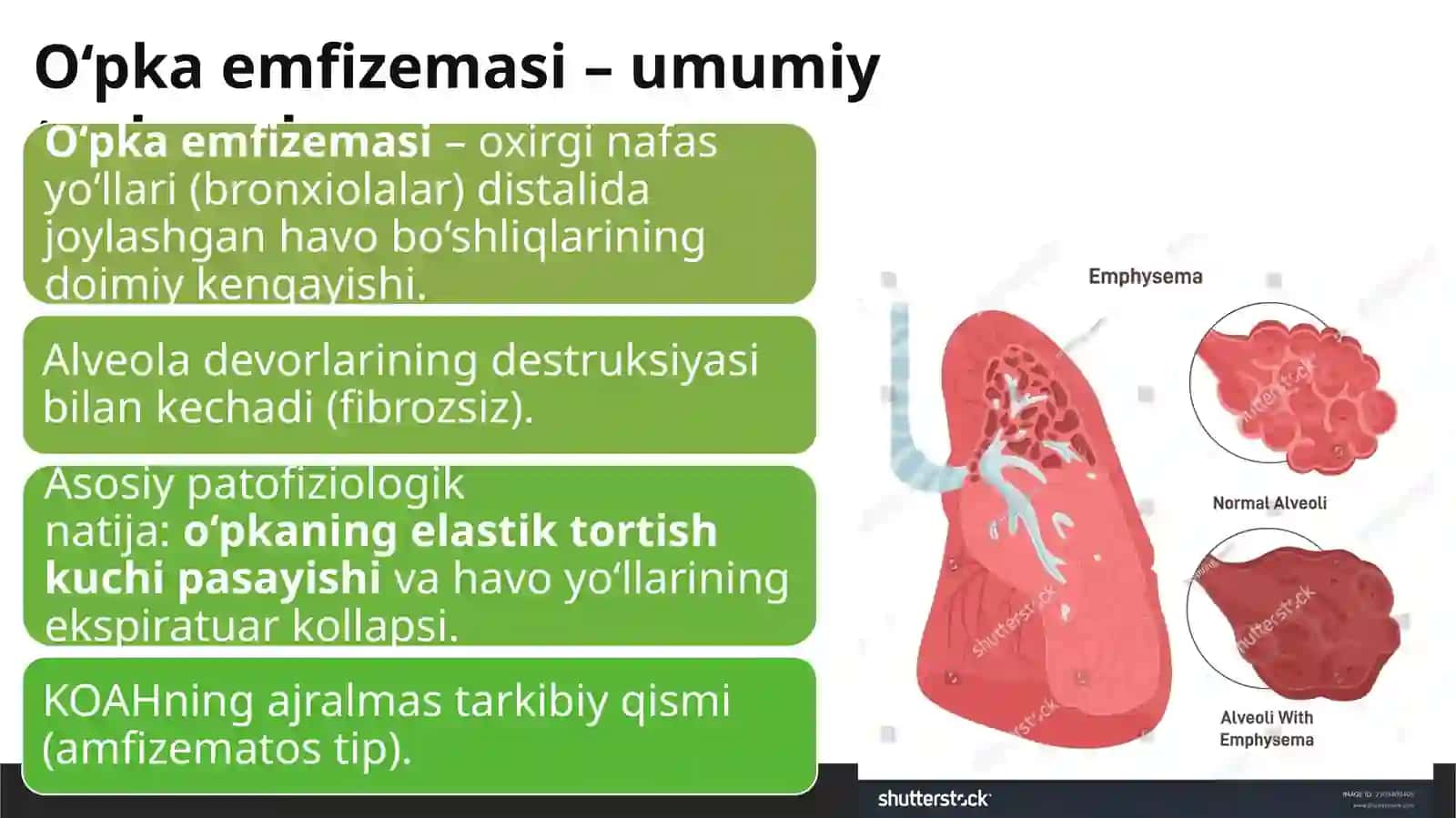 O‘pka emfizemasi 2