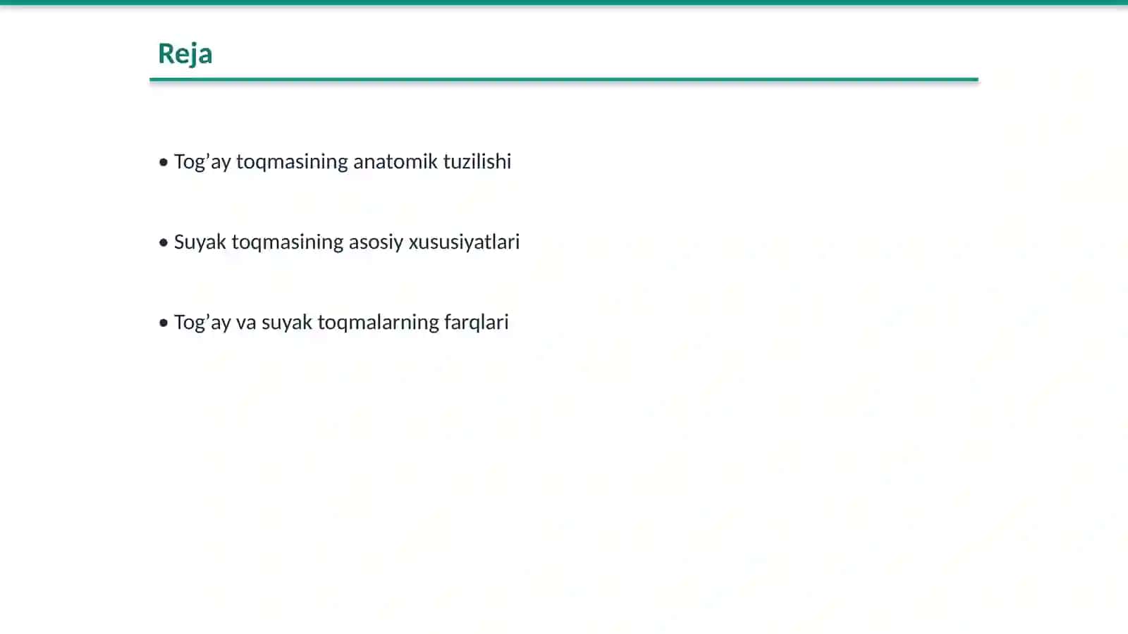 Togʼay va suyak toqmalarning tuzilishini oʻrganish 2