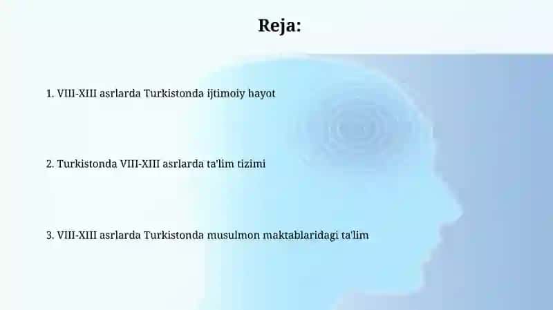 VIII-XIII asrlarda Turkistonda ijtimoiy hayot 2