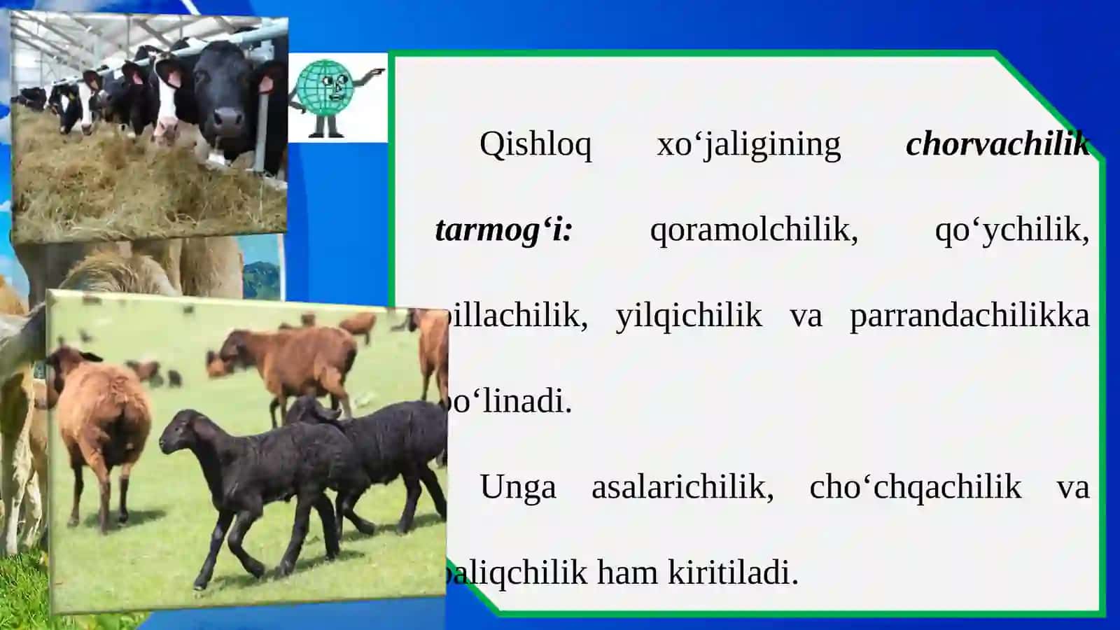 CHORVACHILIK 2