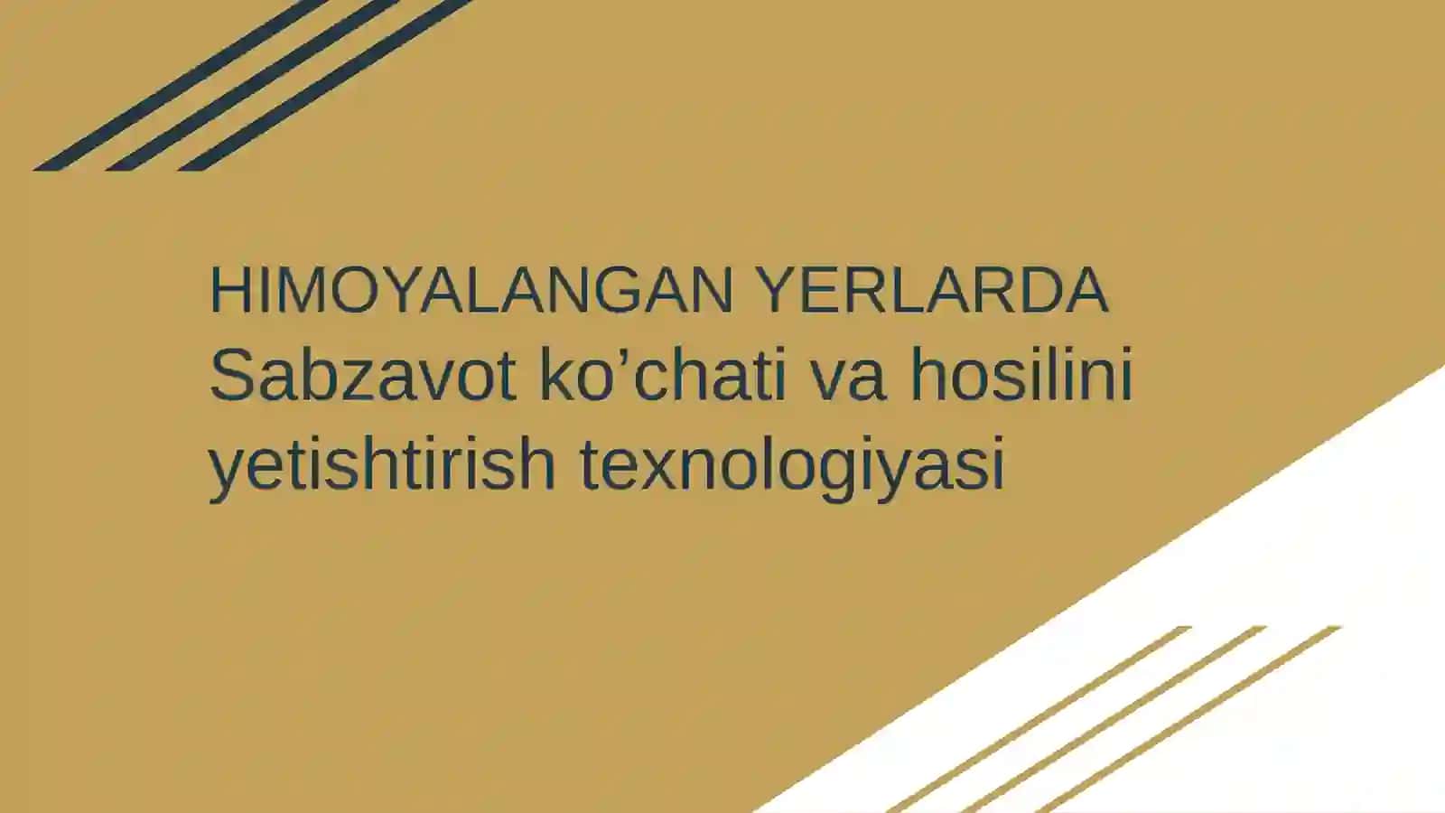 221 AGRANOMIYA YO’NALISHI: SATIMOVA MUHAYYONING HIMOYALANGAN YERLARDA sabzavot ko’chati va hosilini Yetishtirish texnologiyasi 2
