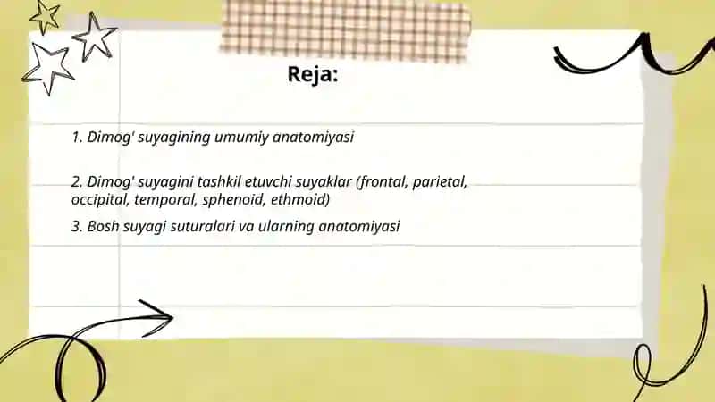 Dimog' suyagi 2