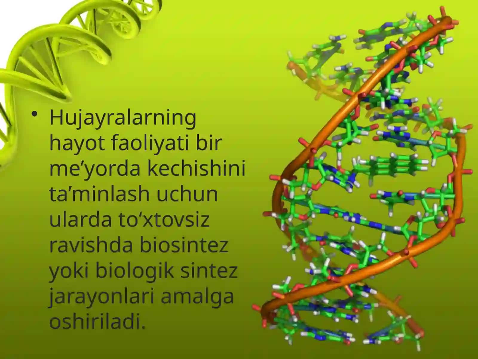 9-sinf Biologiya fanidan Moddalar almashinuvi dars taqdimot 2