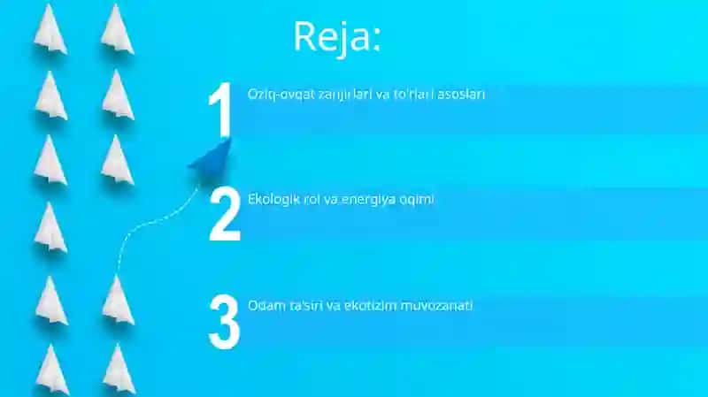 Oziq-ovqat zanjirlari va oziq to‘ri 2