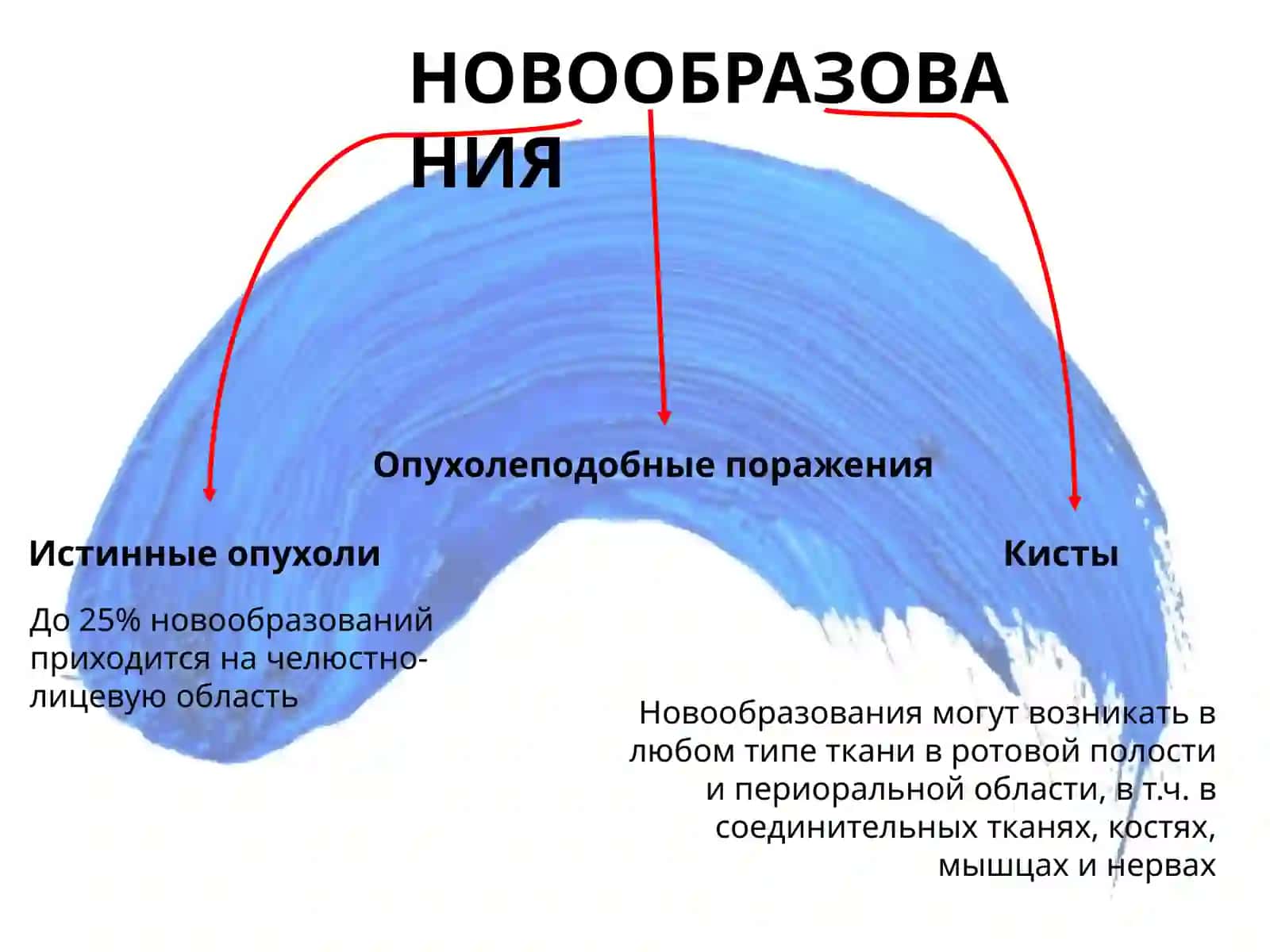 Доброкачественные новообразования кожи, губ и слизистой оболочки полости рта 2