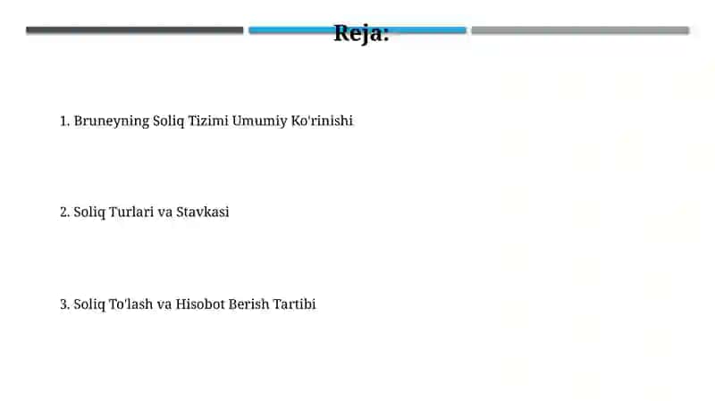 Bruneyning Soliq Tizimi 2