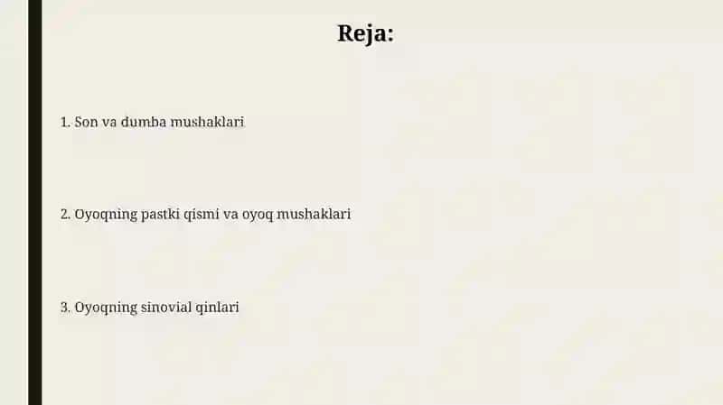 Chanoqvasonmushaklari.Boldirvaoyoqpanjamushaklari.Oyoqningsinovialqinlari 2