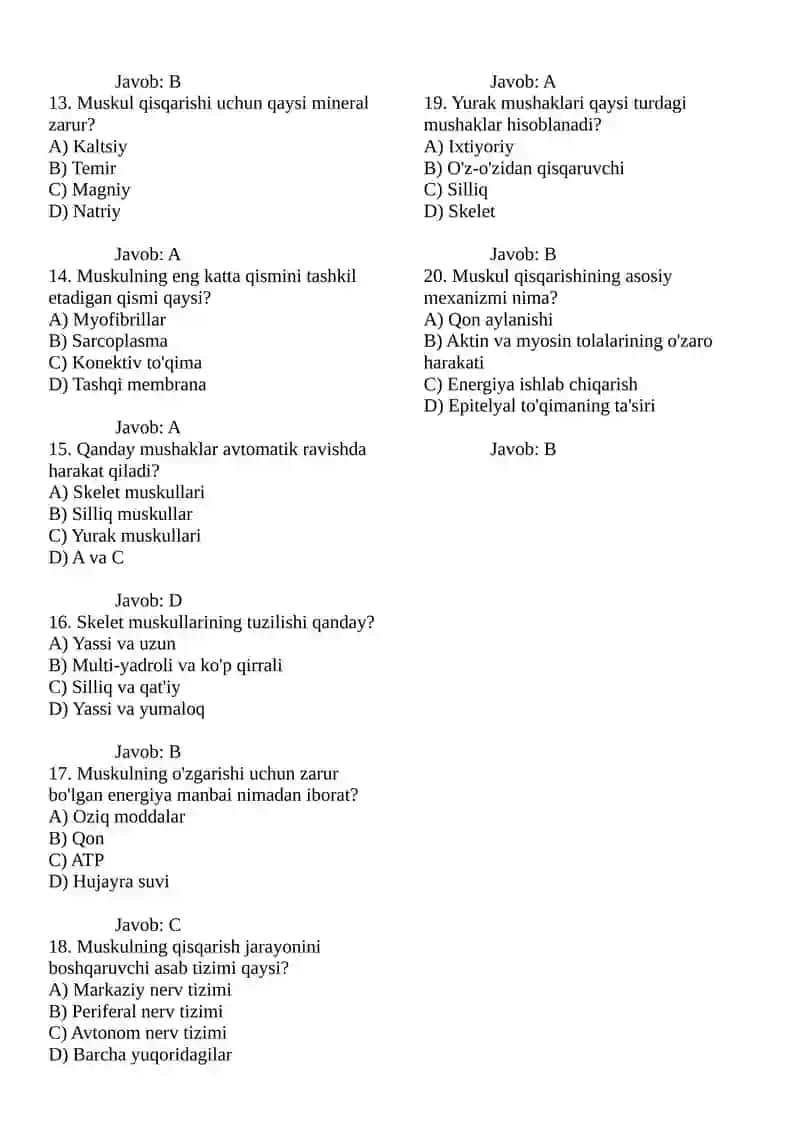 Tana Muskullari test 2