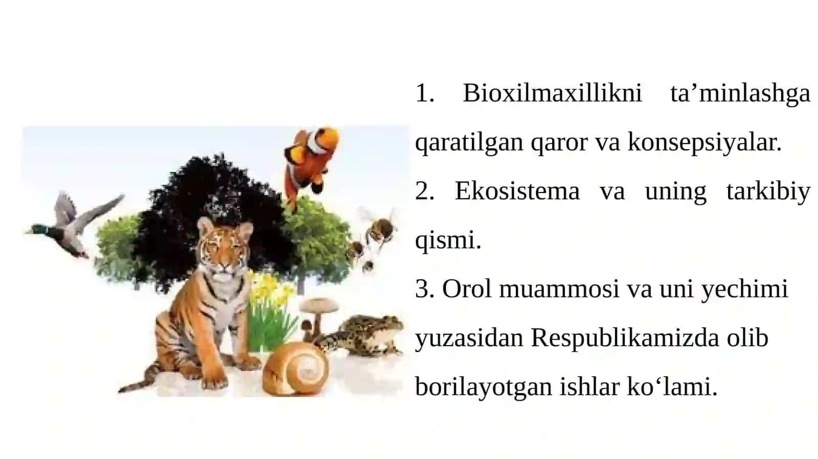 Bioxilmaxillik va ekosistema barqarorligida Orol dengizining oʻrni 2