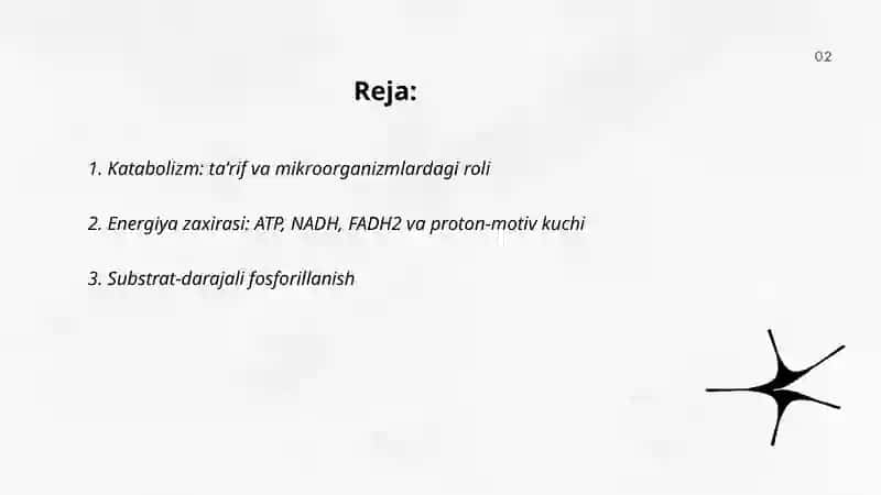 Katabolik metabolizm. Mikrob hujayrasi tomonidan energiya olish usullari, turlari 2