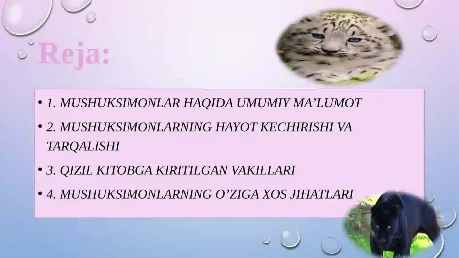 MUSHUKSIMONLAR, HAYOT KECHIRISHI VA TARQALISHI 2