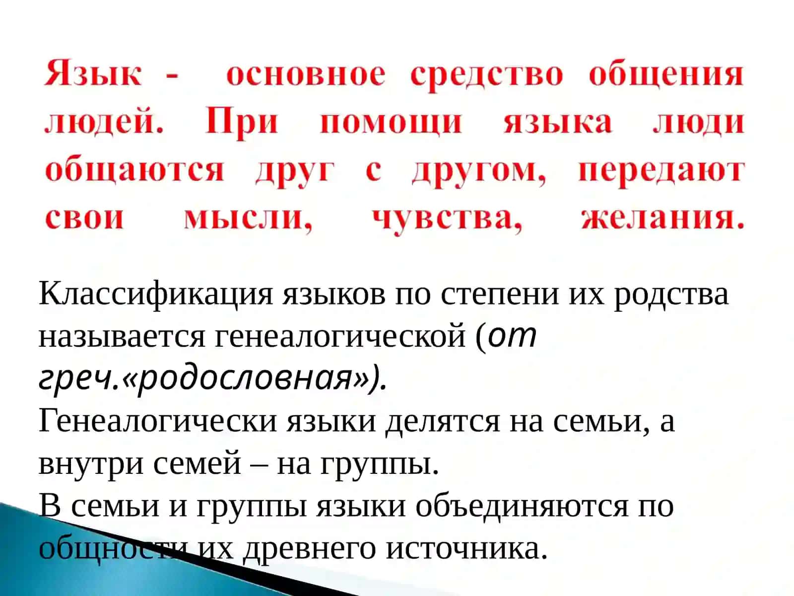 История русского языка 2