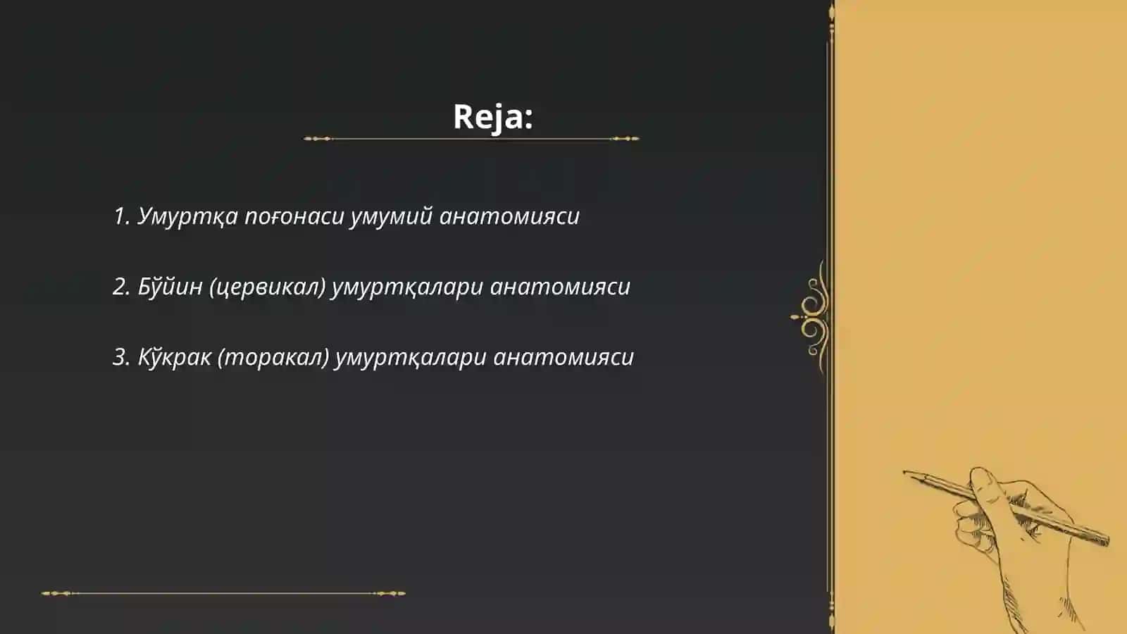 Умуртқа поғонаси анатомияси ва текшириш усуллари 2