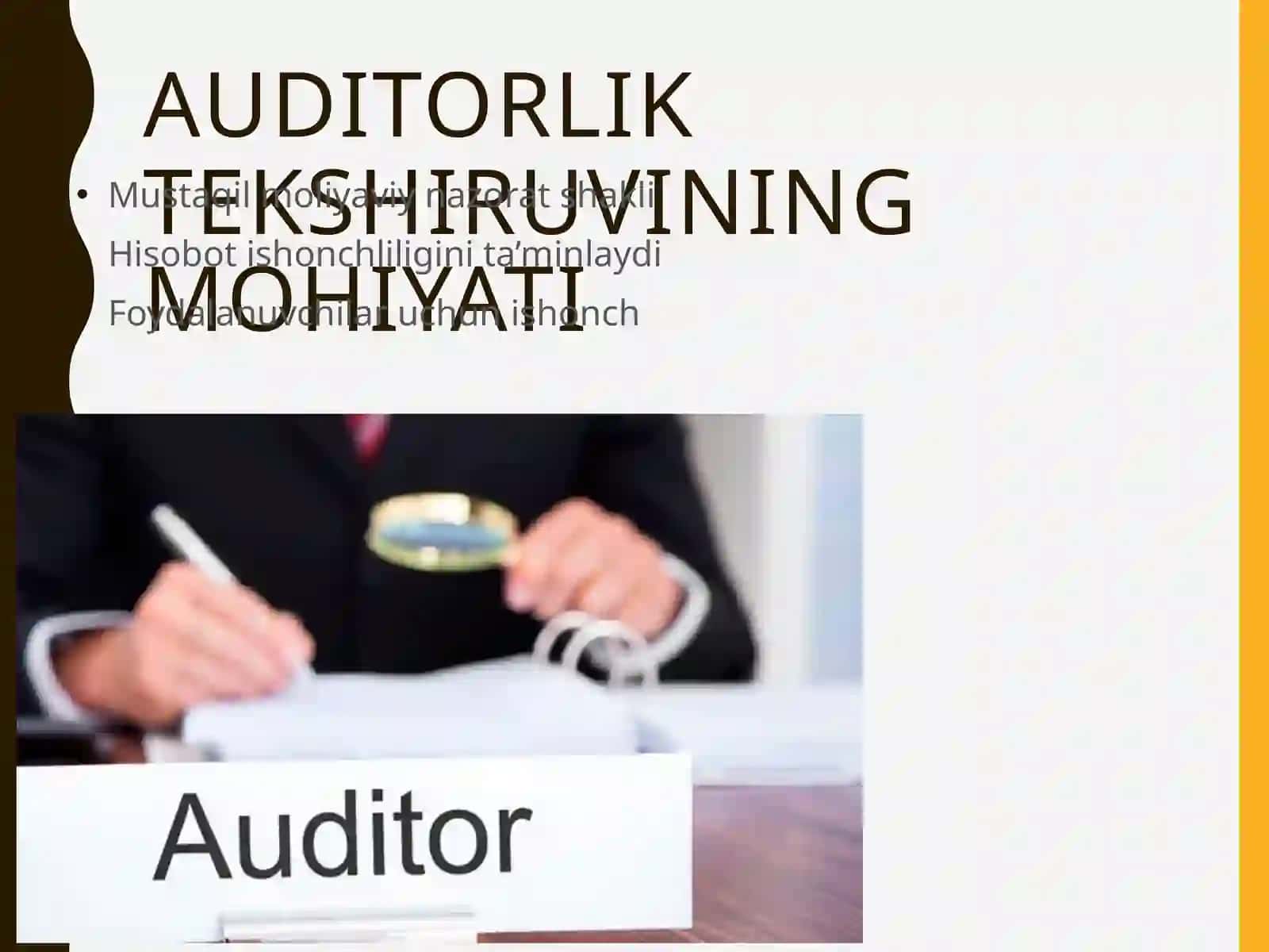 Auditorlik tekshiruvi nirejalashtirish 2