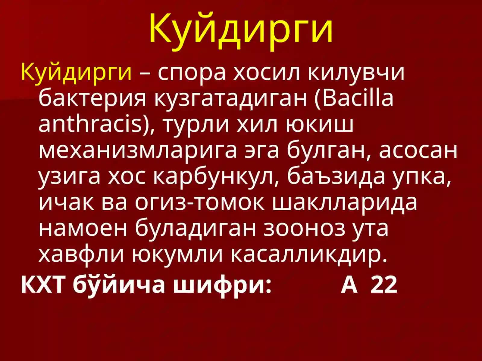 Куйдирги3 2