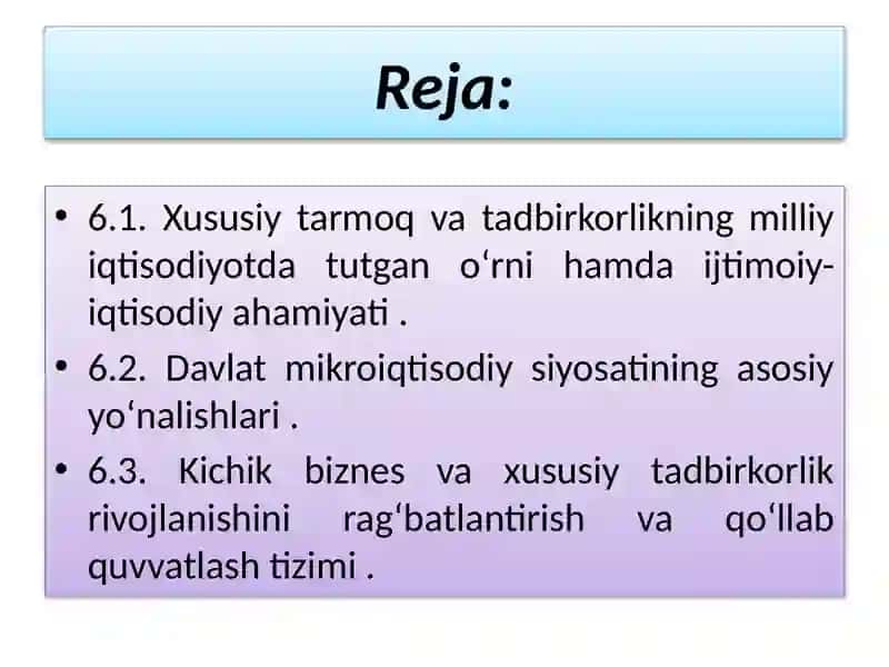 Davlatning iqtisodiyotda xususiy tarmoq va tadbirkorlikni qo`llab-quvvatlash siyosati 2