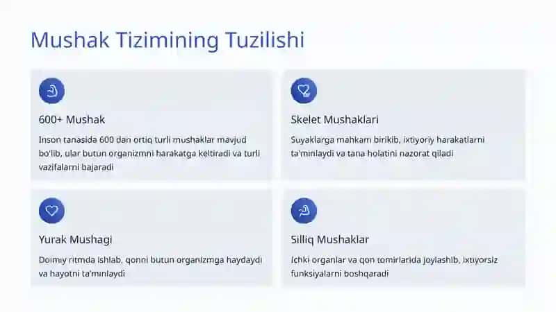 Mushak Tizimi 2