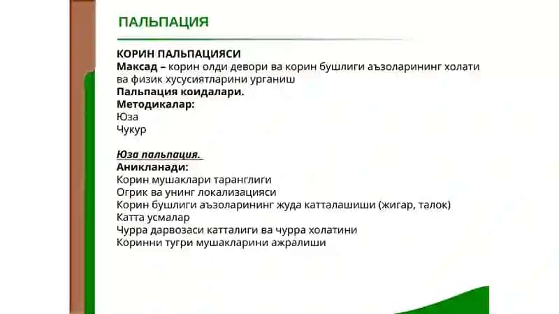 КОРИН ПАЛЬПАЦИЯСИ 2