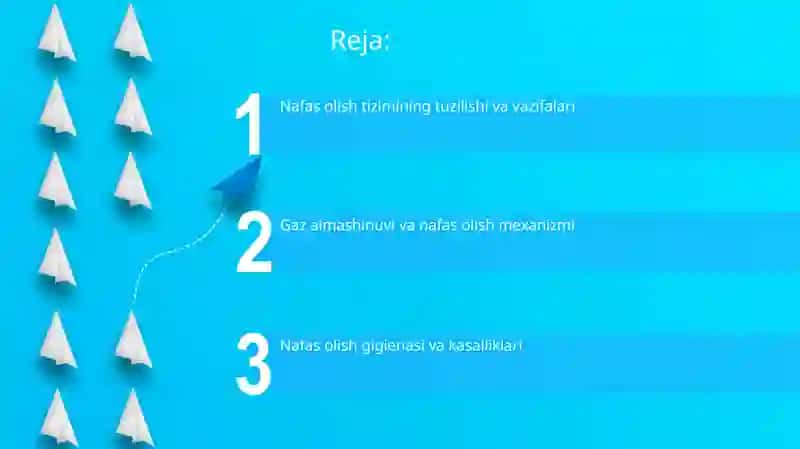 Nafas olish organlari 2