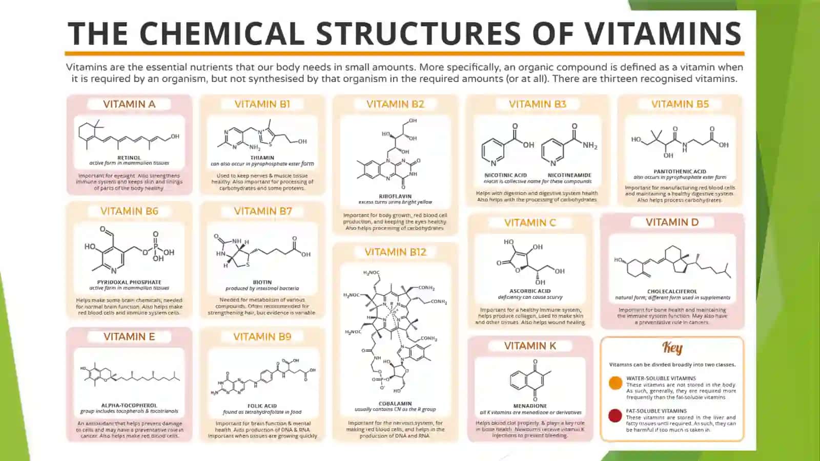 VITAMINLAR 2