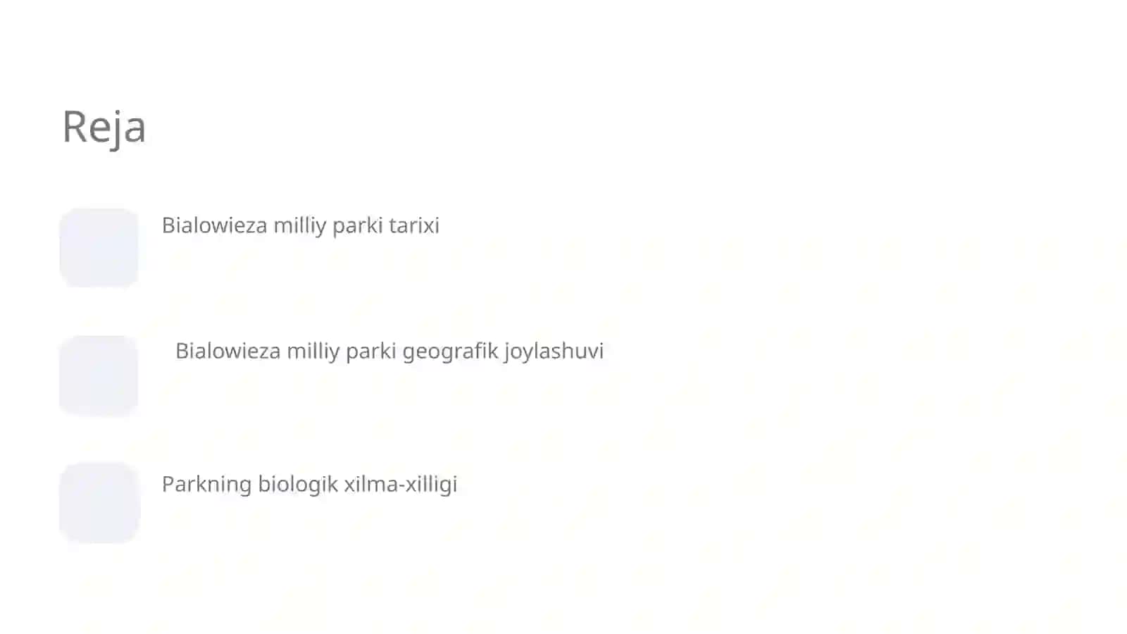 Bialowieza milliy parki 2