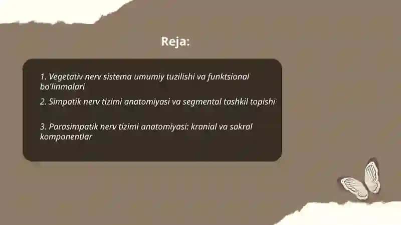 Vegetativ nerv sistemasi tuzilishi.Simpatik parasimpatik va metasimpatik nerv tizimlari 2