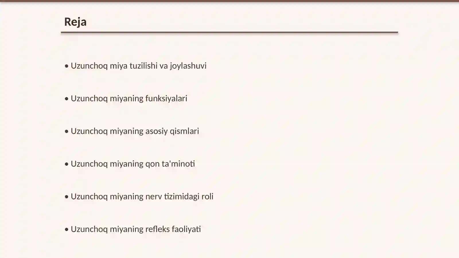 Uzunchoq miya anatomiya 2