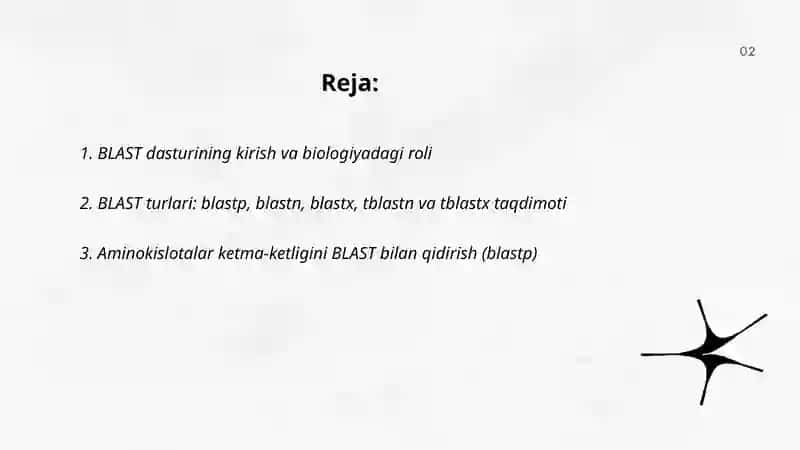 BLAST dasturi 2