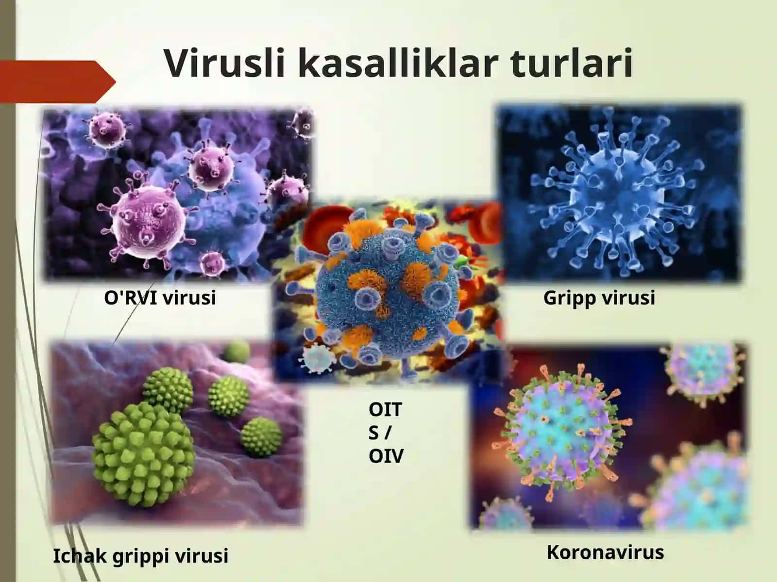 Virusli kasalliklar profilaktikasi 2