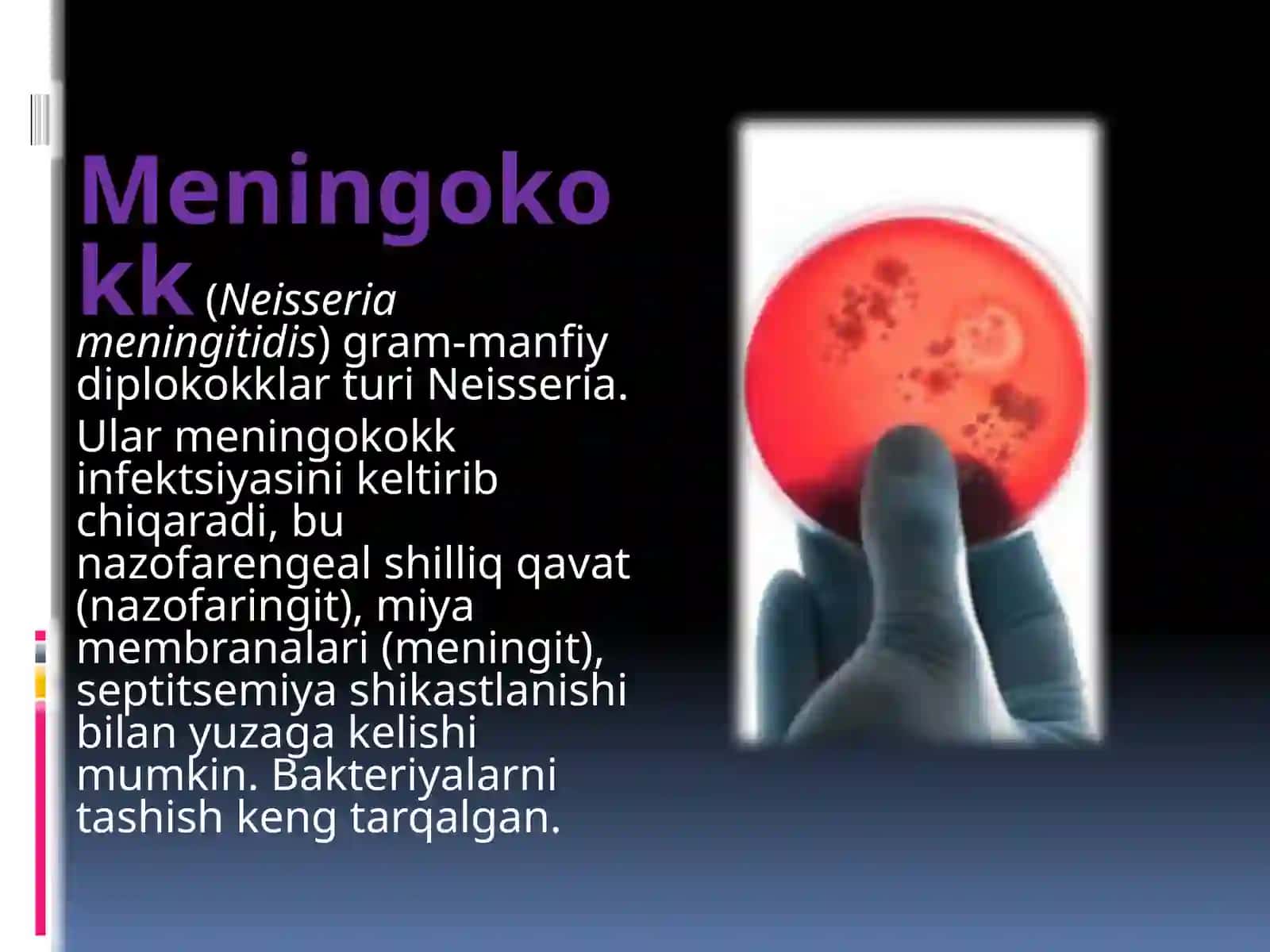 Meningokokk 2