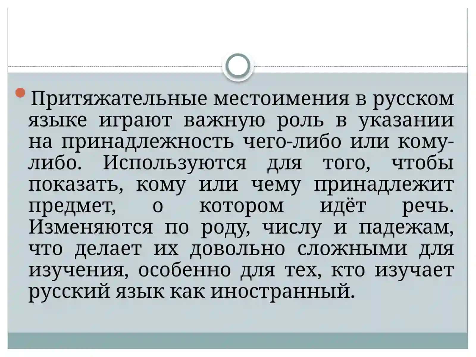 Притяжательные местоимения 2