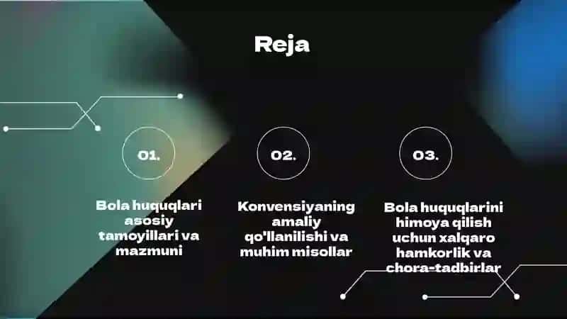 Bola huquqlari toʻgʻrisidagi konvensiyasi 2