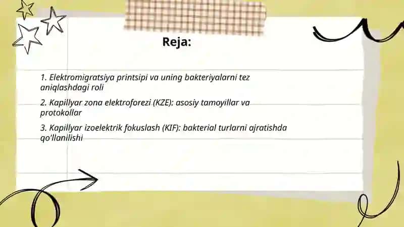 Elektromigratsiya printsipi va uning bakteriyalarni tez aniqlashdagi roli 2