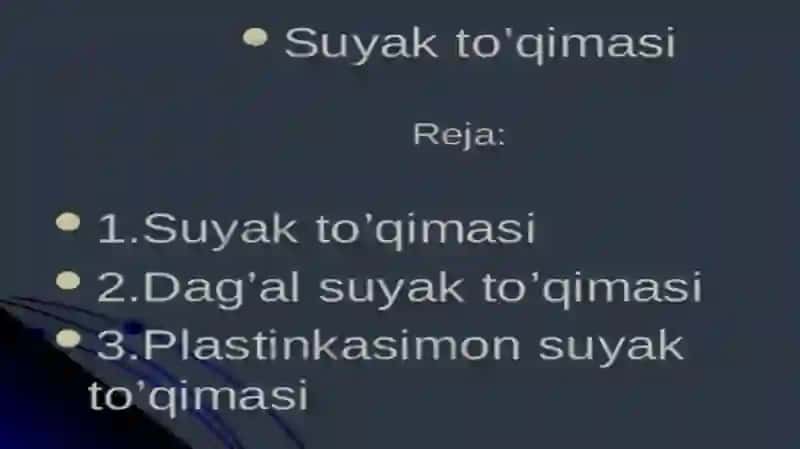 Sayak tòqimalari 2