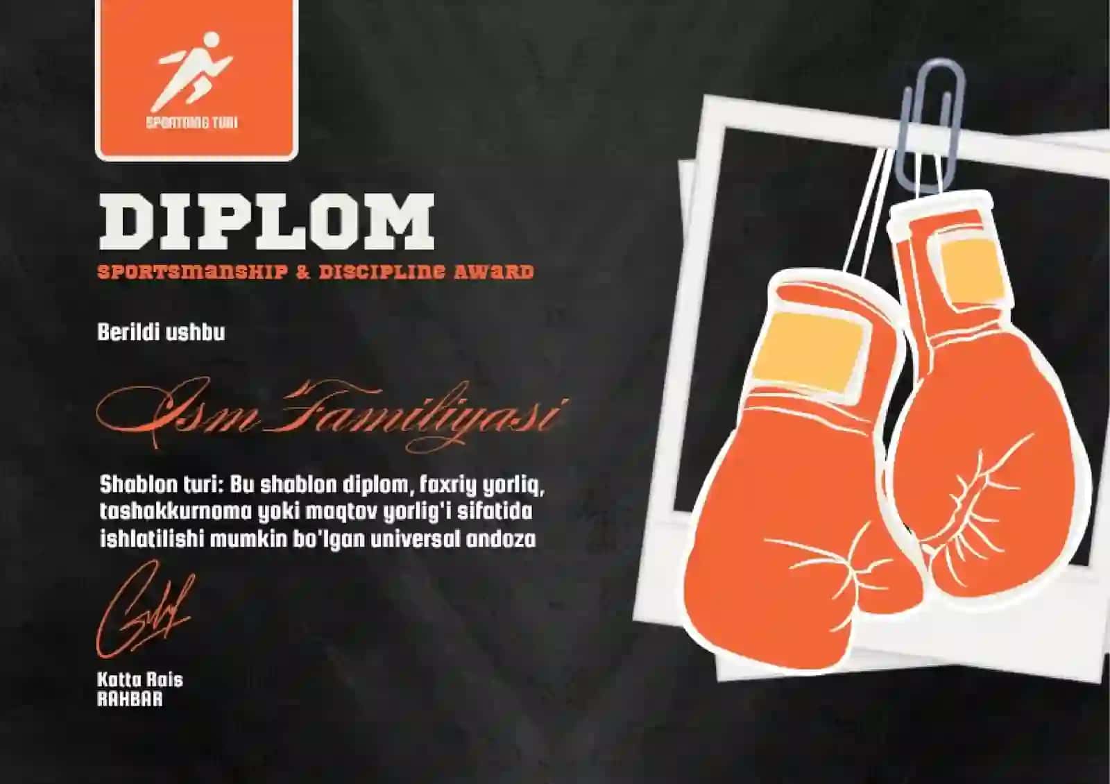 DIPLOM 2