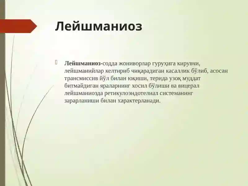 Лейшманиоз 2